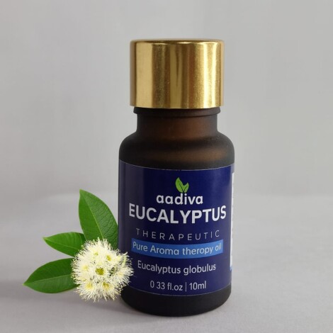 EUCALYPTUS HOME DIFFUSER OIL